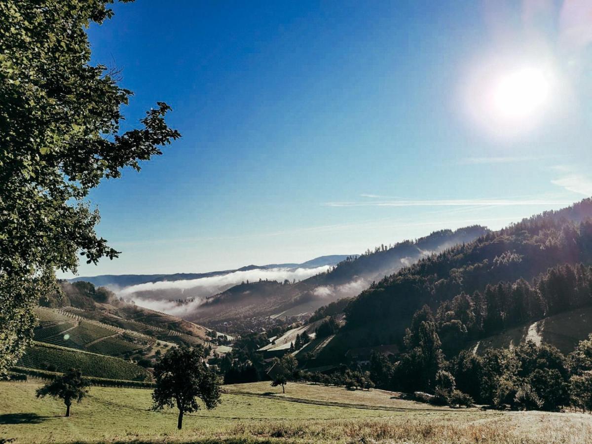 Am Boulevard Gengenbach Dış mekan fotoğraf
