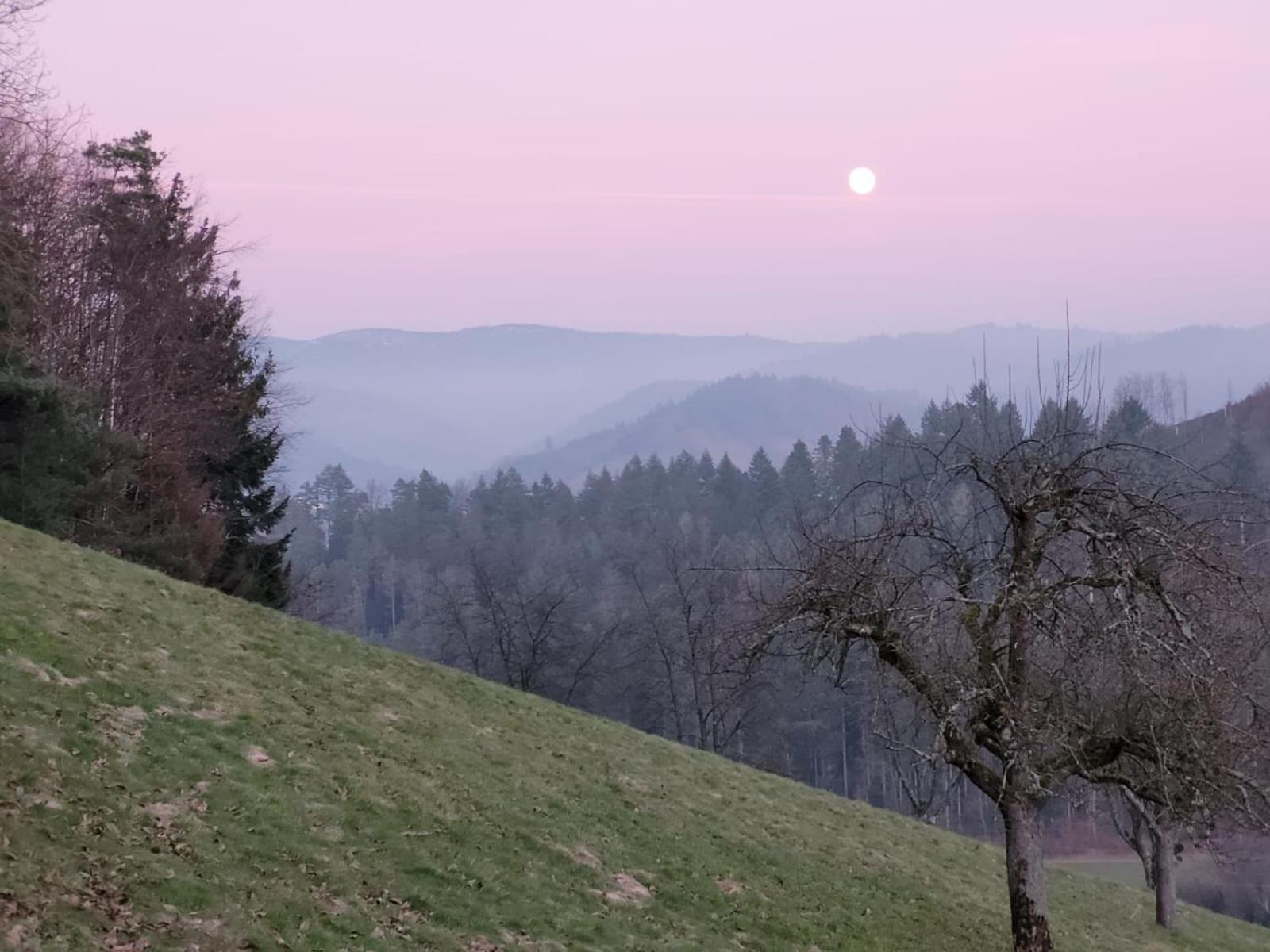 Am Boulevard Gengenbach Dış mekan fotoğraf